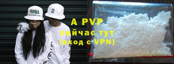 мяу мяу мука Баксан